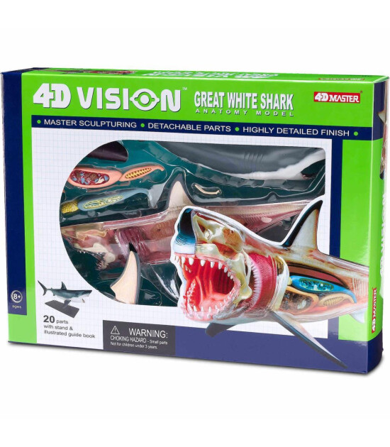 4D Master 4D Anatomi Puzzle // Büyük Beyaz Köpek Balığı
