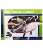 4D Master 4D Anatomi Puzzle // Stegosaurus