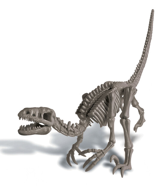 4M Arkeolojik Kazı Seti // Velociraptor