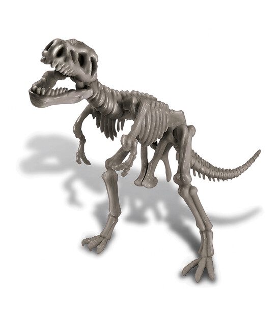 4M Arkeolojik Kazı Seti // Tyrannosaurus Rex