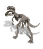 4M Arkeolojik Kazı Seti // Tyrannosaurus Rex