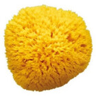 Banyo Süngeri & Lif