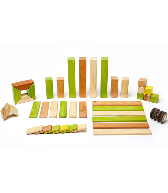 Tegu Mıknatıslı Ahşap Oyuncak 42 Parça Klasik Set (Jungle)
