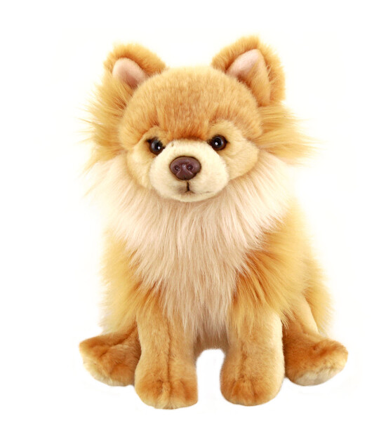 Animals Of The World Peluş Floppy Pomeranian(28 cm)