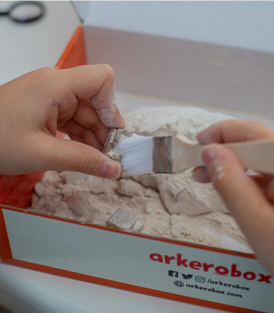 Arkerobox Eğitici Kazı Seti - Global Seri // Antik Roma Kolezyum