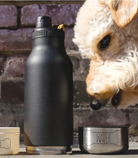 Asobu Barky Bottle // Pastel Blue