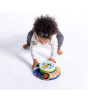 Baby Einstein 360° Enstrüman Müzik Keşfi