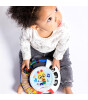 Baby Einstein 360° Enstrüman Müzik Keşfi