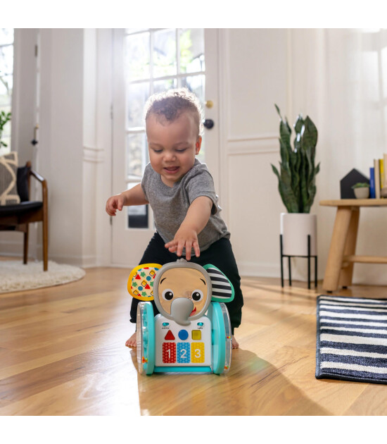 Baby Einstein Chase & Tap Emekleme Oyuncağı Fil Earl