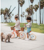 Banwood Vintage Denge Bisikleti // Coral