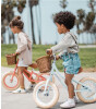 Banwood Vintage Denge Bisikleti // Coral