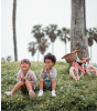 Banwood Vintage Denge Bisikleti // Coral