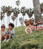 Banwood Vintage Denge Bisikleti // Coral