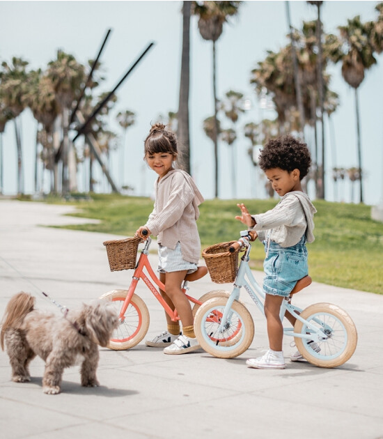 Banwood Vintage Denge Bisikleti // Sky