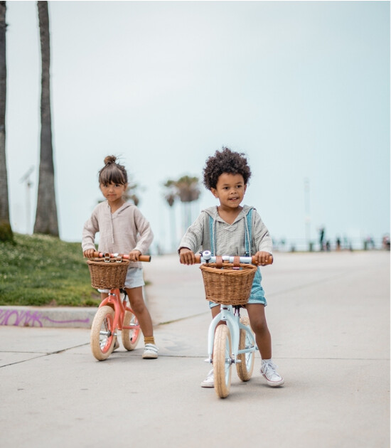 Banwood Vintage Denge Bisikleti // Sky