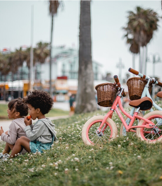 Banwood Vintage Denge Bisikleti // Sky