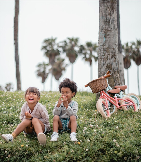 Banwood Vintage Denge Bisikleti // Sky