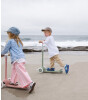 Banwood Eco Scooter // Raspberry - Koyu Pembe
