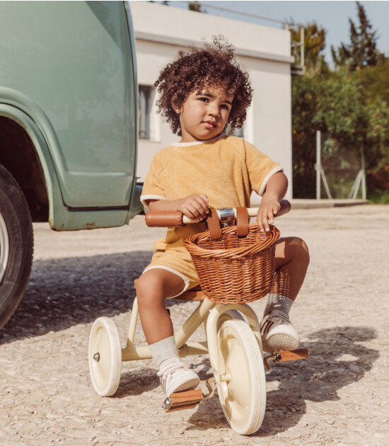 Banwood Vintage Trike // Pembe