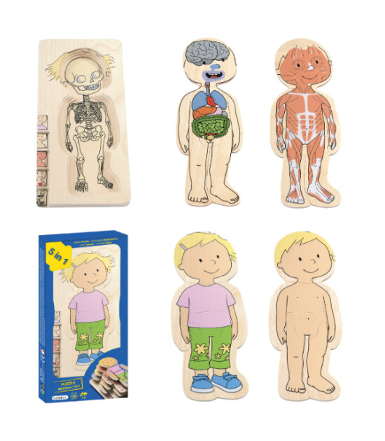 Beleduc İnsan Anatomisi Puzzle - Kız