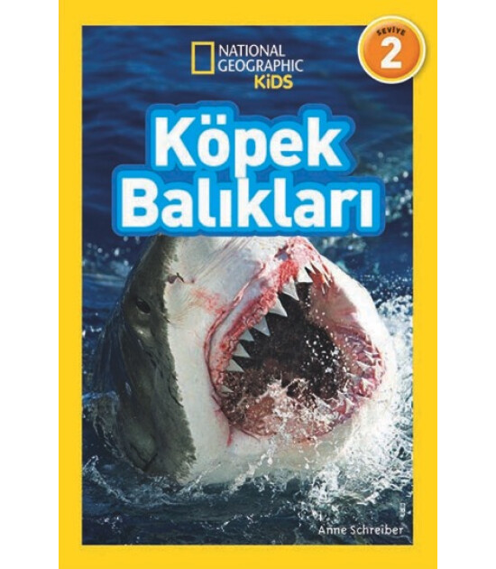 Köpek Balıkları