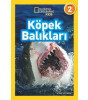 Köpek Balıkları