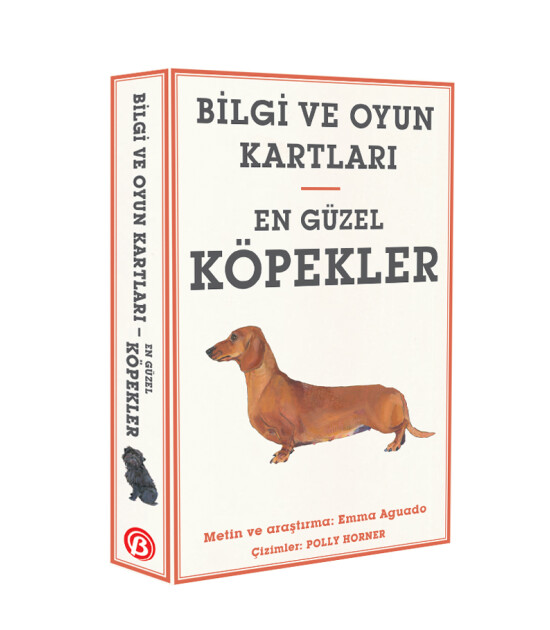 Bilgi Ve Oyun Kartları En Güzel Köpekler