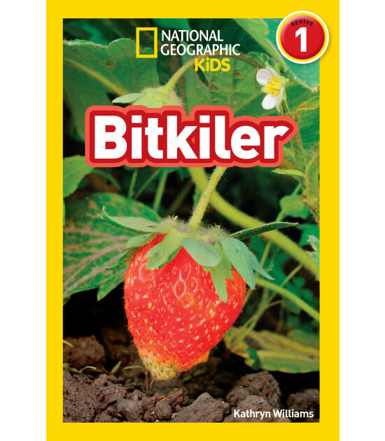 Bitkiler
