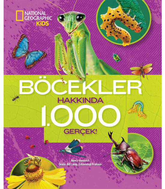 Böcekler Hakkında 1000 Gerçek!