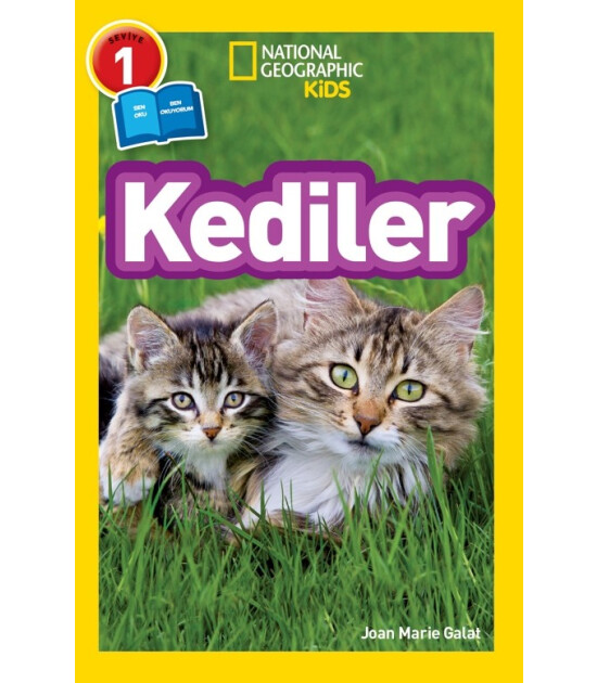 Kediler