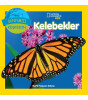 Kelebekler(Dünyamızı Keşfedin)