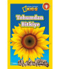 Tohumdan Bitkiye