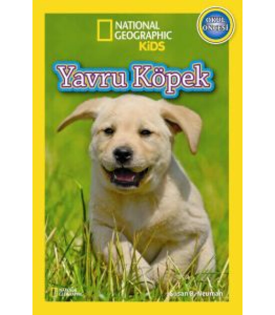 Yavru Köpekler