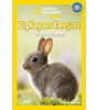 Zıplayan Tavşan