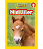 Midilliler