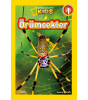 Örümcekler