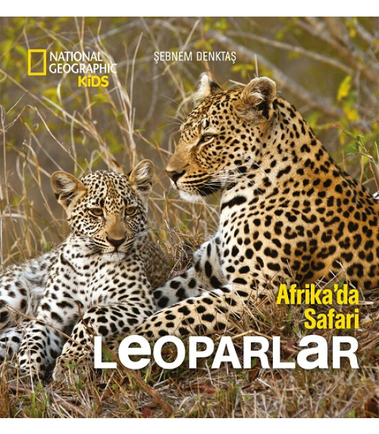 Afrikada Safari Leoparlar