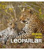 Afrikada Safari Leoparlar