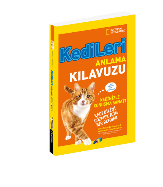 Kedileri Anlama Kılavuzu
