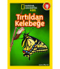 Tırtıldan Kelebeğe