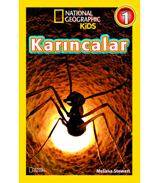 Karıncalar