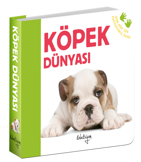 Köpek Dünyası