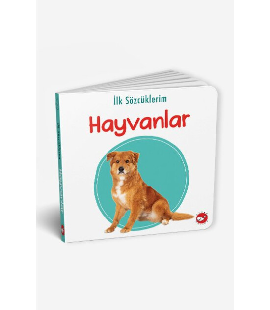 İlk Sözcüklerim - Hayvanlar