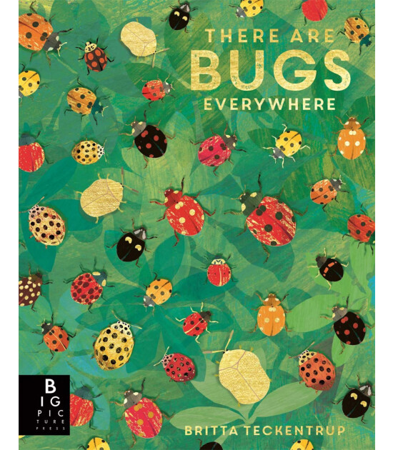 Big Picture Press There are Bugs Everywhere