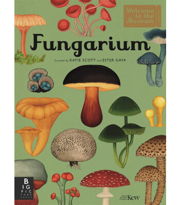 Big Picture Press Fungarium