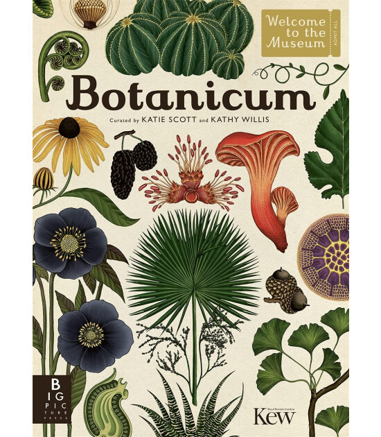 Big Picture Press Botanicum