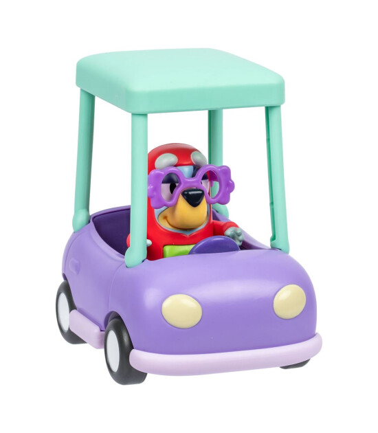 Bluey B&uuml;y&uuml;kannenin Arabası ve Janet Fig&uuml;r