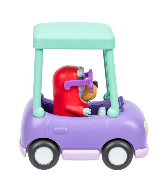 Bluey B&uuml;y&uuml;kannenin Arabası ve Janet Fig&uuml;r