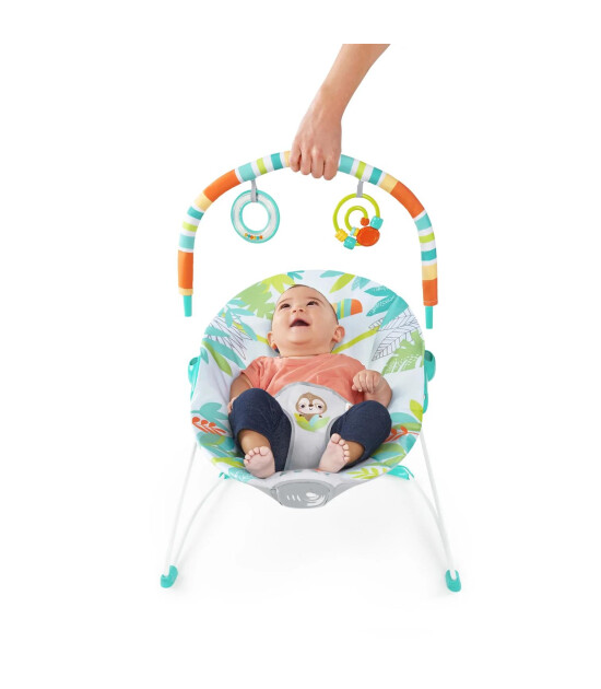 Bright Starts Yağmur Ormanı Titreşimli Ana Kucağı