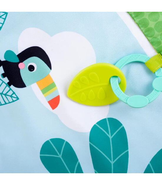 Bright Starts Basic Peluş Oyun Halısı